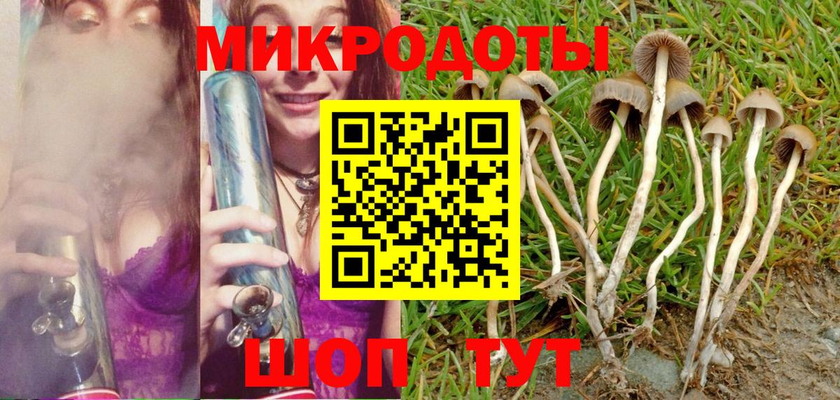 Губкин  Галлюциногенные грибы Psilocybe  Галлюциногенные грибы мицелий  Вход с VPN 