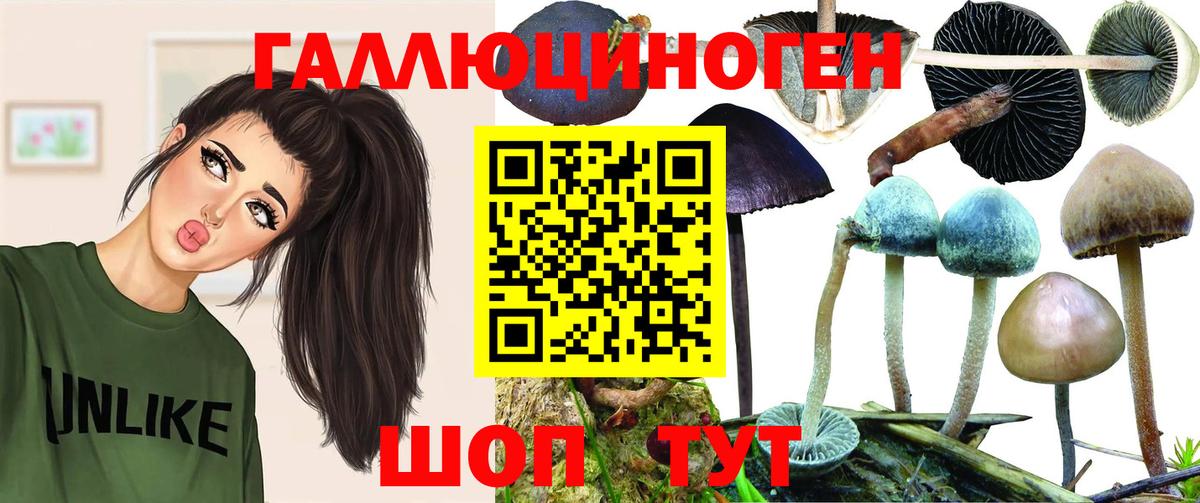 Галлюциногенные грибы мицелий Губкин